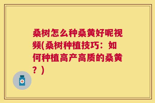 桑树怎么种桑黄好呢视频(桑树种植技巧：如何种植高产高质的桑黄？)