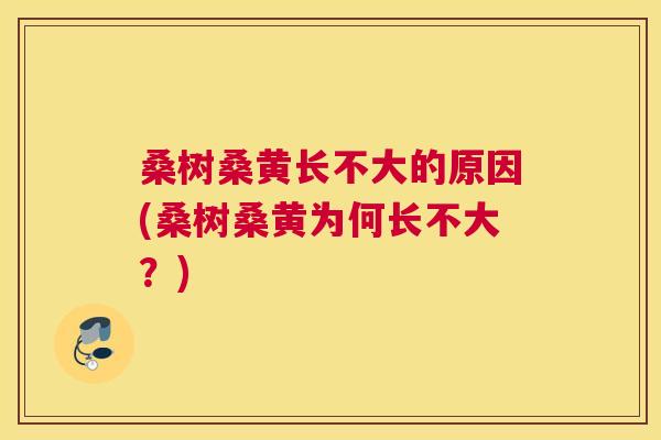 桑树桑黄长不大的原因(桑树桑黄为何长不大?) 桑树桑黄长不大的原因(桑树桑黄为何长不大?)
