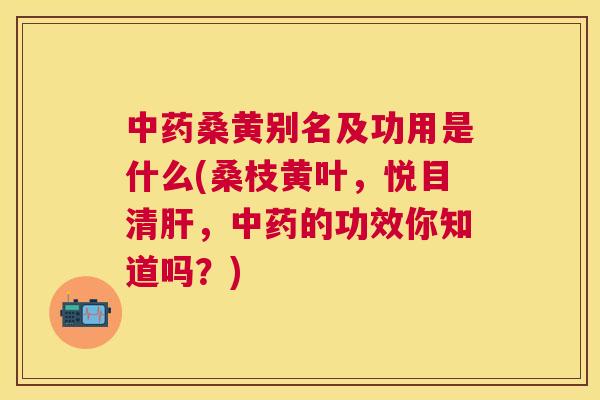 桑黄别名及功用是什么(桑枝黄叶,悦目清,的功效你知道吗?) 桑黄别名及功用是什么(桑枝黄叶,悦目清,的功效你知道吗?)