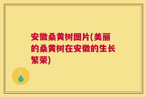 安徽桑黄树图片(美丽的桑黄树在安徽的生长繁荣) 安徽桑黄树图片(美丽的桑黄树在安徽的生长繁荣)