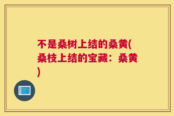 不是桑树上结的桑黄(桑枝上结的宝藏:桑黄) 不是桑树上结的桑黄(桑枝上结的宝藏:桑黄)