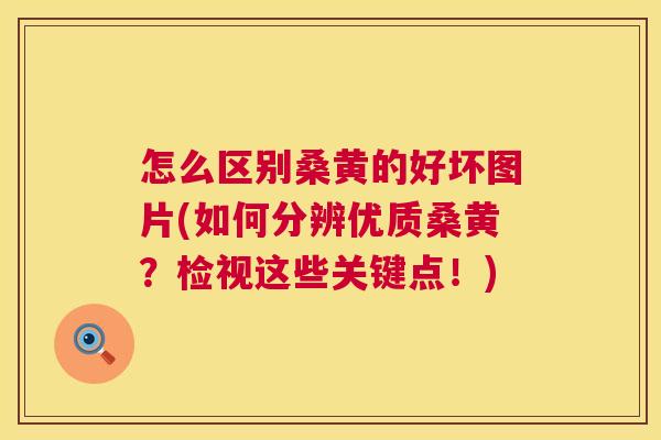 怎么区别桑黄的好坏图片(如何分辨优质桑黄?检视这些关键点!) 怎么区别桑黄的好坏图片(如何分辨优质桑黄?检视这些关键点!)