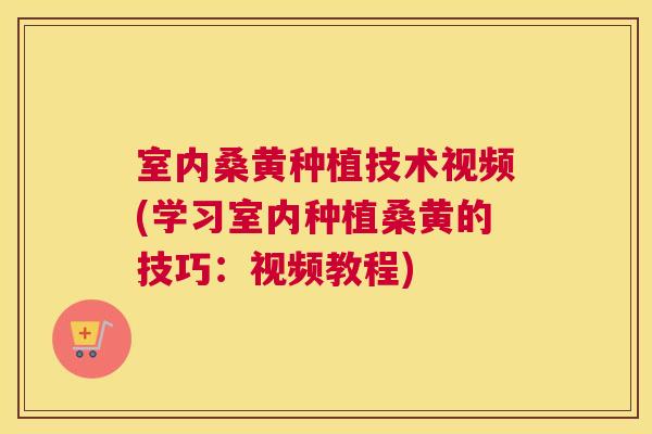 室内桑黄种植技术视频(学习室内种植桑黄的技巧:视频教程) 室内桑黄种植技术视频(学习室内种植桑黄的技巧:视频教程)
