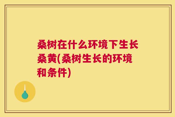 桑树在什么环境下生长桑黄(桑树生长的环境和条件) 桑树在什么环境下生长桑黄(桑树生长的环境和条件)