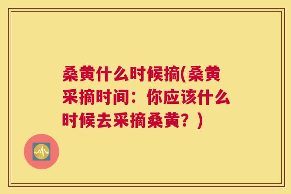 桑黄什么时候摘(桑黄采摘时间:你应该什么时候去采摘桑黄?) 桑黄什么时候摘(桑黄采摘时间:你应该什么时候去采摘桑黄?)