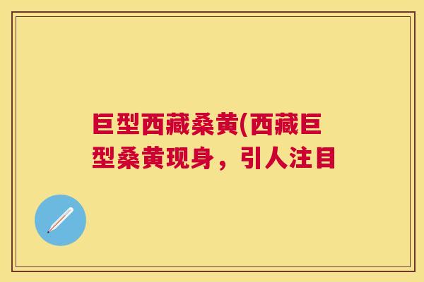 巨型西藏桑黄(西藏巨型桑黄现身,引人注目 巨型西藏桑黄(西藏巨型桑黄现身,引人注目