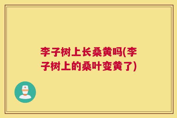 李子树上长桑黄吗(李子树上的桑叶变黄了) 李子树上长桑黄吗(李子树上的桑叶变黄了)