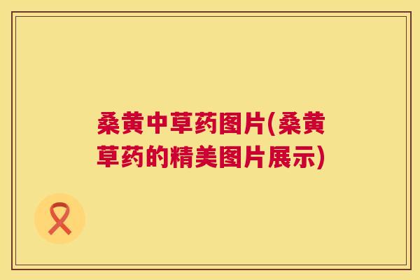 桑黄中草药图片(桑黄草药的精美图片展示) 桑黄中草药图片(桑黄草药的精美图片展示)