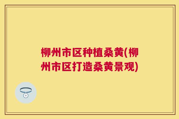 柳州市区种植桑黄(柳州市区打造桑黄景观) 柳州市区种植桑黄(柳州市区打造桑黄景观)