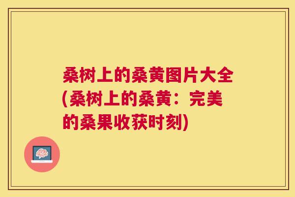 桑树上的桑黄图片大全(桑树上的桑黄:完美的桑果收获时刻) 桑树上的桑黄图片大全(桑树上的桑黄:完美的桑果收获时刻)