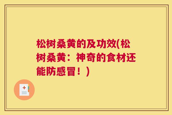 松树桑黄的及功效(松树桑黄:神奇的食材还能防!) 松树桑黄的及功效(松树桑黄:神奇的食材还能防!)