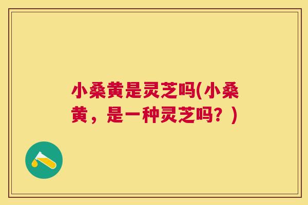 小桑黄是灵芝吗(小桑黄,是一种灵芝吗?) 小桑黄是灵芝吗(小桑黄,是一种灵芝吗?)