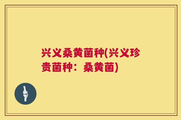 兴义桑黄菌种(兴义珍贵菌种:桑黄菌) 兴义桑黄菌种(兴义珍贵菌种:桑黄菌)