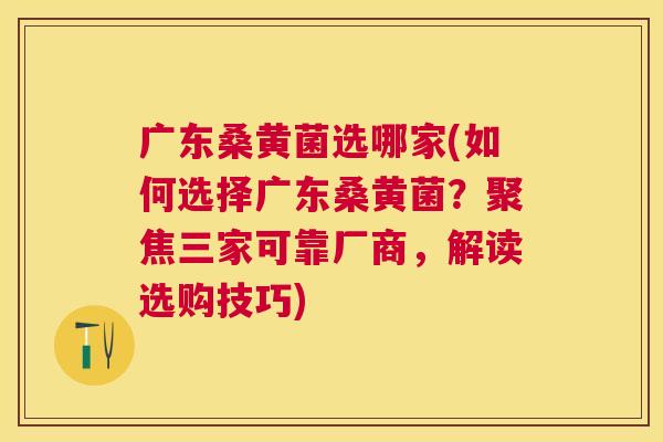 广东桑黄菌选哪家(如何选择广东桑黄菌?聚焦三家可靠厂商,解读选购技巧) 广东桑黄菌选哪家(如何选择广东桑黄菌?聚焦三家可靠厂商,解读选购技巧)