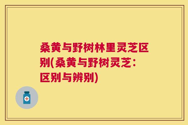 桑黄与野树林里灵芝区别(桑黄与野树灵芝:区别与辨别) 桑黄与野树林里灵芝区别(桑黄与野树灵芝:区别与辨别)