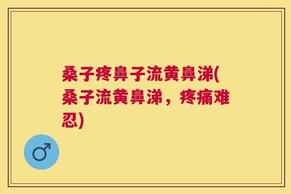 桑子疼鼻子流黄鼻涕(桑子流黄鼻涕,难忍) 桑子疼鼻子流黄鼻涕(桑子流黄鼻涕,难忍)