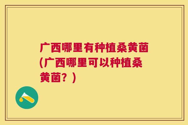广西哪里有种植桑黄菌(广西哪里可以种植桑黄菌?) 广西哪里有种植桑黄菌(广西哪里可以种植桑黄菌?)
