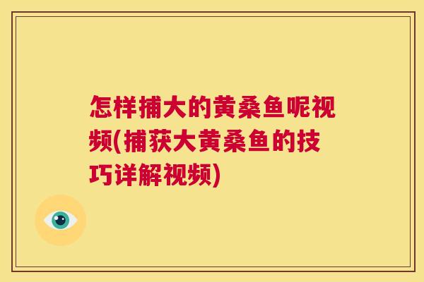 怎样捕大的黄桑鱼呢视频(捕获大黄桑鱼的技巧详解视频) 怎样捕大的黄桑鱼呢视频(捕获大黄桑鱼的技巧详解视频)