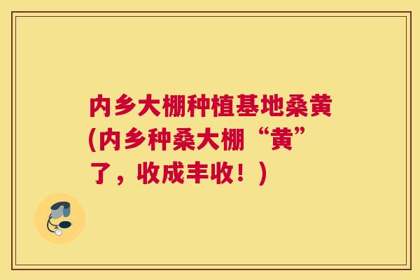 内乡大棚种植基地桑黄(内乡种桑大棚“黄”了,收成丰收!) 内乡大棚种植基地桑黄(内乡种桑大棚“黄”了,收成丰收!)