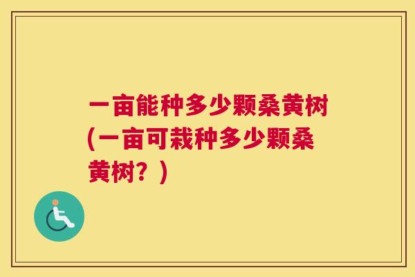 一亩能种多少颗桑黄树(一亩可栽种多少颗桑黄树?) 一亩能种多少颗桑黄树(一亩可栽种多少颗桑黄树?)