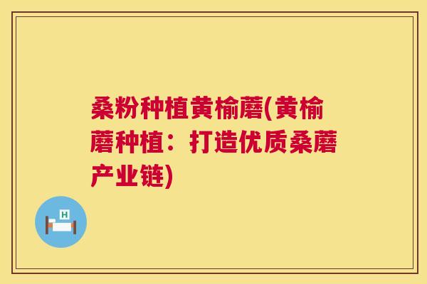 桑粉种植黄榆蘑(黄榆蘑种植：打造优质桑蘑产业链)