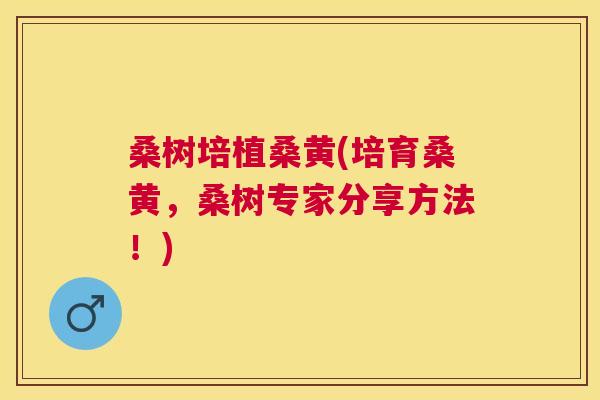 桑树培植桑黄(培育桑黄,桑树专家分享方法!) 桑树培植桑黄(培育桑黄,桑树专家分享方法!)