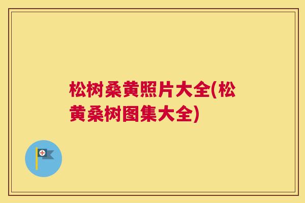 松树桑黄照片大全(松黄桑树图集大全) 松树桑黄照片大全(松黄桑树图集大全)