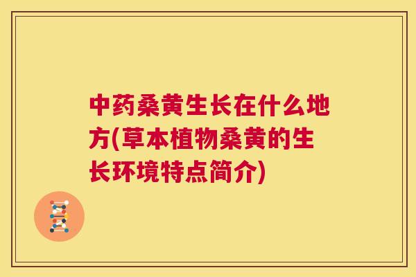 桑黄生长在什么地方(草本植物桑黄的生长环境特点简介) 桑黄生长在什么地方(草本植物桑黄的生长环境特点简介)