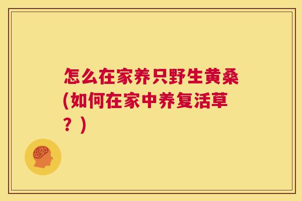 怎么在家养只野生黄桑(如何在家中养复活草?) 怎么在家养只野生黄桑(如何在家中养复活草?)