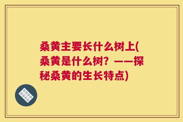 桑黄主要长什么树上(桑黄是什么树?——探秘桑黄的生长特点) 桑黄主要长什么树上(桑黄是什么树?——探秘桑黄的生长特点)