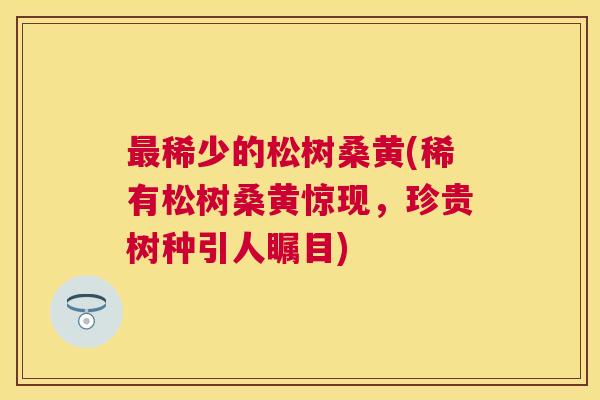 稀少的松树桑黄(稀有松树桑黄惊现,珍贵树种引人瞩目) 稀少的松树桑黄(稀有松树桑黄惊现,珍贵树种引人瞩目)