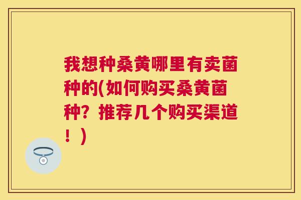 我想种桑黄哪里有卖菌种的(如何购买桑黄菌种?推荐几个购买渠道!) 我想种桑黄哪里有卖菌种的(如何购买桑黄菌种?推荐几个购买渠道!)