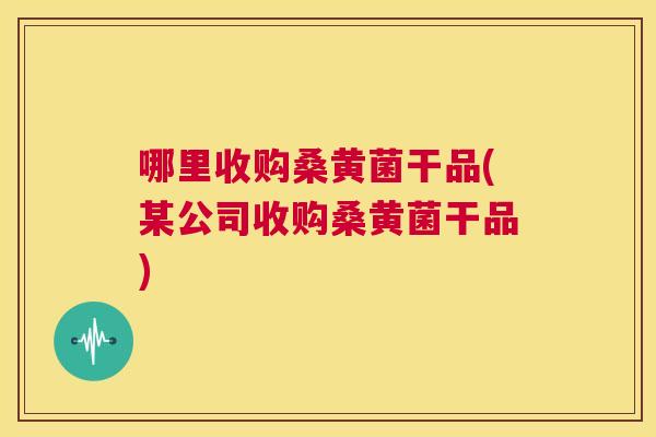 哪里收购桑黄菌干品(某公司收购桑黄菌干品) 哪里收购桑黄菌干品(某公司收购桑黄菌干品)
