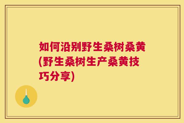 如何沿别野生桑树桑黄(野生桑树生产桑黄技巧分享) 如何沿别野生桑树桑黄(野生桑树生产桑黄技巧分享)