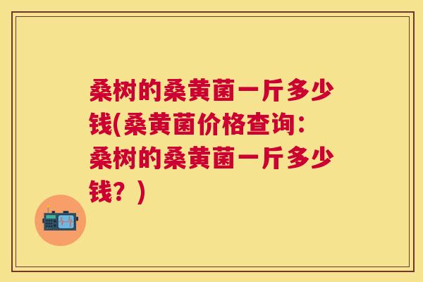 桑树的桑黄菌一斤多少钱(桑黄菌价格查询:桑树的桑黄菌一斤多少钱?) 桑树的桑黄菌一斤多少钱(桑黄菌价格查询:桑树的桑黄菌一斤多少钱?)