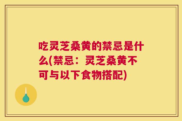 吃灵芝桑黄的禁忌是什么(禁忌:灵芝桑黄不可与以下食物搭配) 吃灵芝桑黄的禁忌是什么(禁忌:灵芝桑黄不可与以下食物搭配)