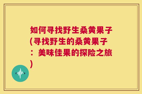 如何寻找野生桑黄果子(寻找野生的桑黄果子:美味佳果的探险之旅) 如何寻找野生桑黄果子(寻找野生的桑黄果子:美味佳果的探险之旅)