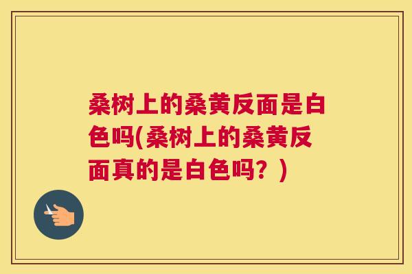 桑树上的桑黄反面是白色吗(桑树上的桑黄反面真的是白色吗?) 桑树上的桑黄反面是白色吗(桑树上的桑黄反面真的是白色吗?)