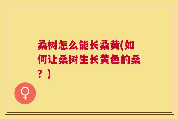桑树怎么能长桑黄(如何让桑树生长黄色的桑?) 桑树怎么能长桑黄(如何让桑树生长黄色的桑?)