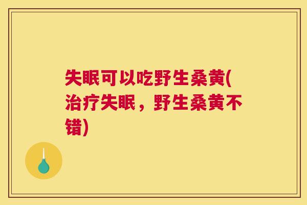 可以吃野生桑黄(,野生桑黄不错) 可以吃野生桑黄(,野生桑黄不错)