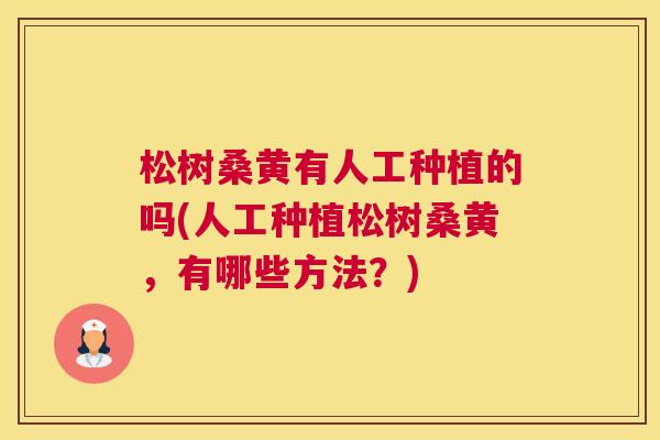 松树桑黄有人工种植的吗(人工种植松树桑黄,有哪些方法?) 松树桑黄有人工种植的吗(人工种植松树桑黄,有哪些方法?)