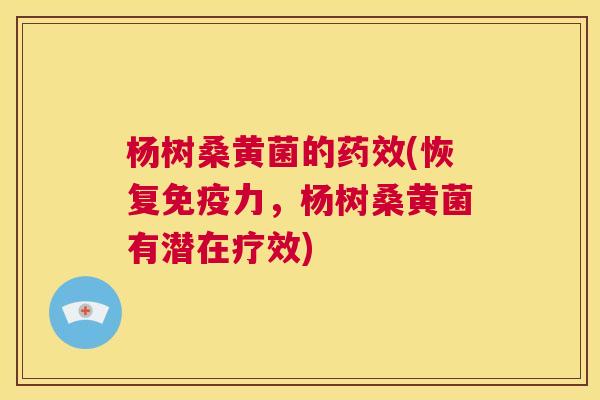 杨树桑黄菌的(恢复力,杨树桑黄菌有潜在疗效) 杨树桑黄菌的(恢复力,杨树桑黄菌有潜在疗效)