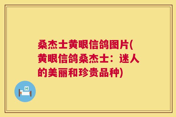 桑杰士黄眼信鸽图片(黄眼信鸽桑杰士:迷人的美丽和珍贵品种) 桑杰士黄眼信鸽图片(黄眼信鸽桑杰士:迷人的美丽和珍贵品种)