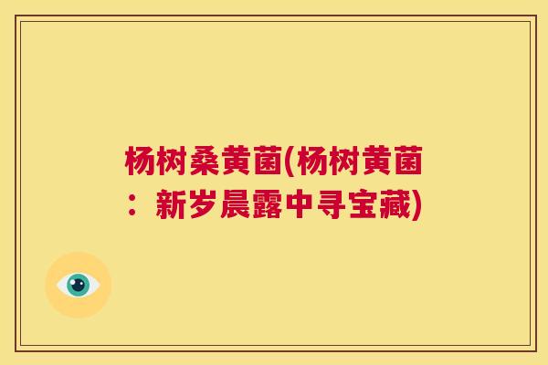 杨树桑黄菌(杨树黄菌:新岁晨露中寻宝藏) 杨树桑黄菌(杨树黄菌:新岁晨露中寻宝藏)