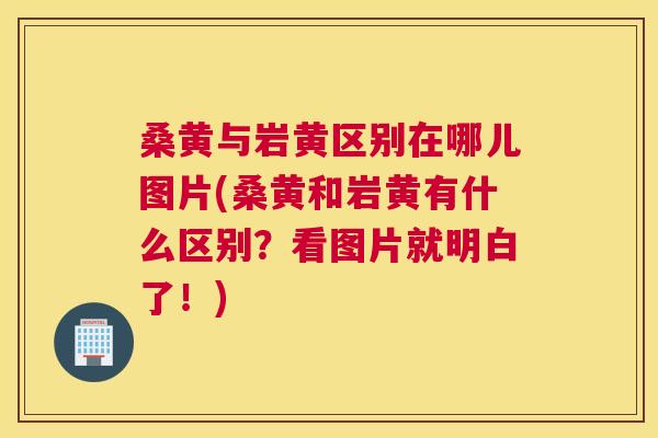 桑黄与岩黄区别在哪儿图片(桑黄和岩黄有什么区别?看图片就明白了!) 桑黄与岩黄区别在哪儿图片(桑黄和岩黄有什么区别?看图片就明白了!)