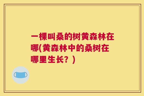 一棵叫桑的树黄森林在哪(黄森林中的桑树在哪里生长？)