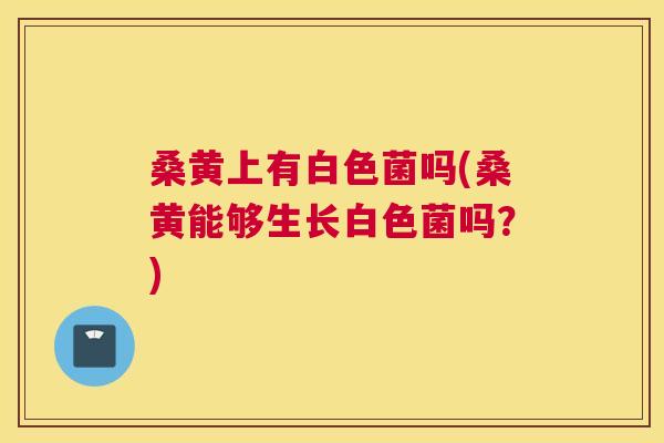 桑黄上有白色菌吗(桑黄能够生长白色菌吗?) 桑黄上有白色菌吗(桑黄能够生长白色菌吗?)