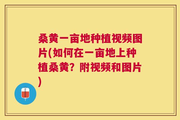 桑黄一亩地种植视频图片(如何在一亩地上种植桑黄?附视频和图片) 桑黄一亩地种植视频图片(如何在一亩地上种植桑黄?附视频和图片)