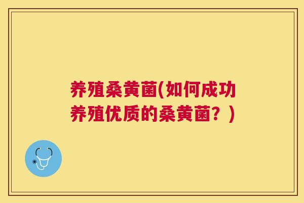 养殖桑黄菌(如何成功养殖优质的桑黄菌?) 养殖桑黄菌(如何成功养殖优质的桑黄菌?)