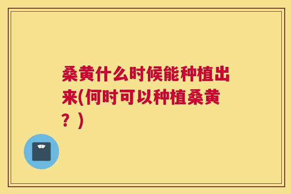 桑黄什么时候能种植出来(何时可以种植桑黄?) 桑黄什么时候能种植出来(何时可以种植桑黄?)
